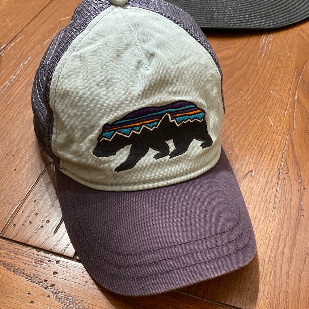 🐻PATAGONIA Fitz Roy Bear trucker cap